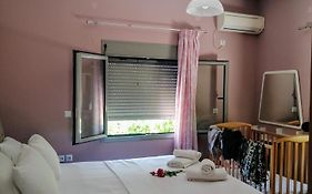 Fella Chalkida
